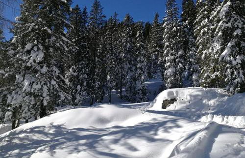 Daniela Apartment - Foto 40