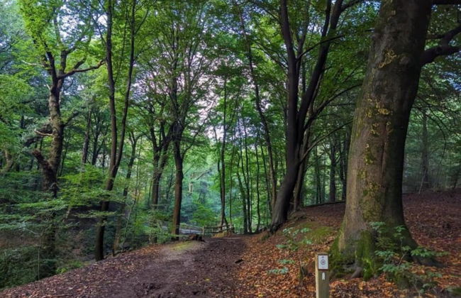 Holiday Home in Gelderland Near Nature Trails - Photo 36