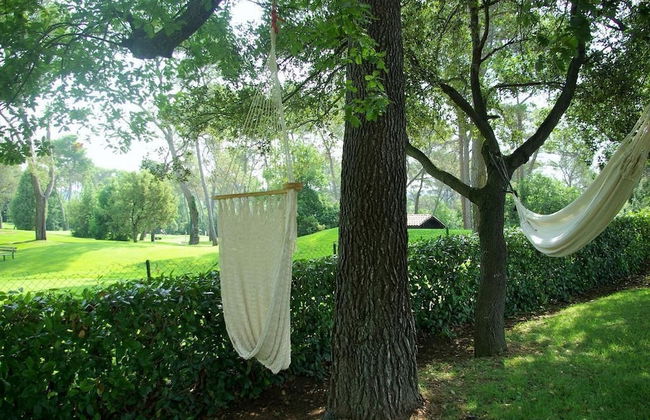 Domaine les Cigales - Foto 29