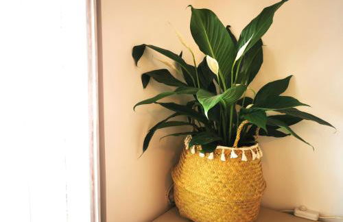 Vida à portuguesa, Charming apartment "Algarve" , in the cultural and historical center - Photo 42