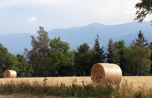 Agroturystyka Łysa Góra - Foto 67