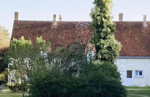 Domaine des Tauperons-8 pers-proche Beauval-wifi - Photo 21