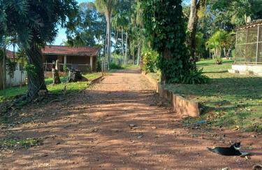 Exclusivo Haras Marilu! - Foto 37