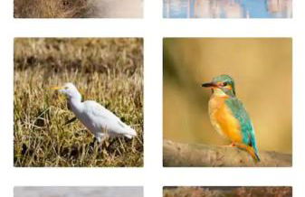 O CANTINHO DA RIA - JACUZZI with water at 35 degrees and POOL - Foto 46