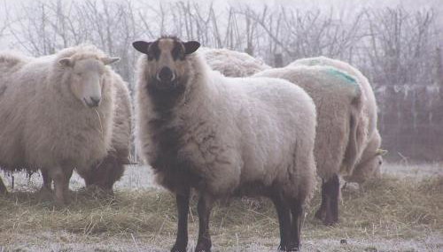 Stunning cottage nestled under the Longmynd Hills. - Foto 5