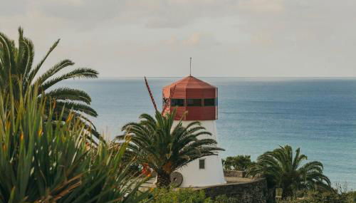 Moinho das Feteiras - Foto 4