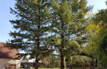 TRUITE FARIO, FISH AND GITES - Foto 16