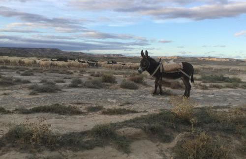Apartamento El Estrecho de Arguedas - Foto 25