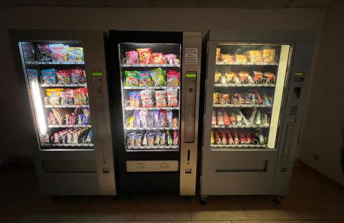 Penthouse - Panorama Suite - Hohegeiß - Foto 46