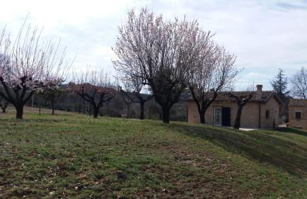 DOMUS FILMAR - Foto 15