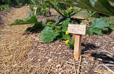 Les Jardins des 3 Provinces- Gîte - Foto 31