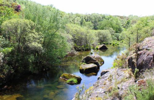 Casa Boletus - Foto 71