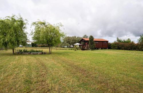 Casa da Lagoa Pateira - Foto 28