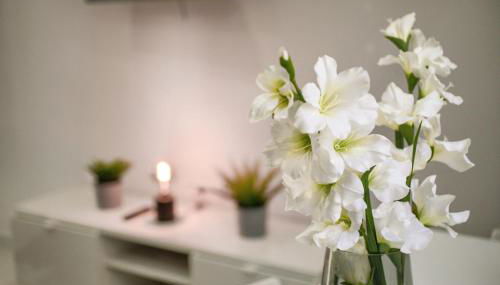 Apartamento Luz de Gadir - Photo 3