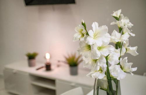 Apartamento Luz de Gadir - Photo 3