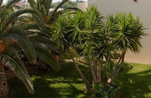 Olga Suites - Foto 8