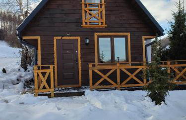 Domki Bieszczadzki Czar Rodzinny 661-850-410 - Photo 67