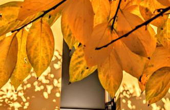 Monza Apartments - Foto 23