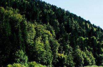 Gite Traditionnel au Centre Historique d'Éguisheim - Foto 32