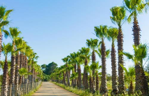 Sa Bassa Rotja Ecoturisme - Foto 40