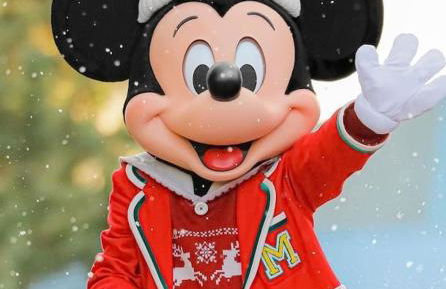 Disney Luxury Studio - Foto 35