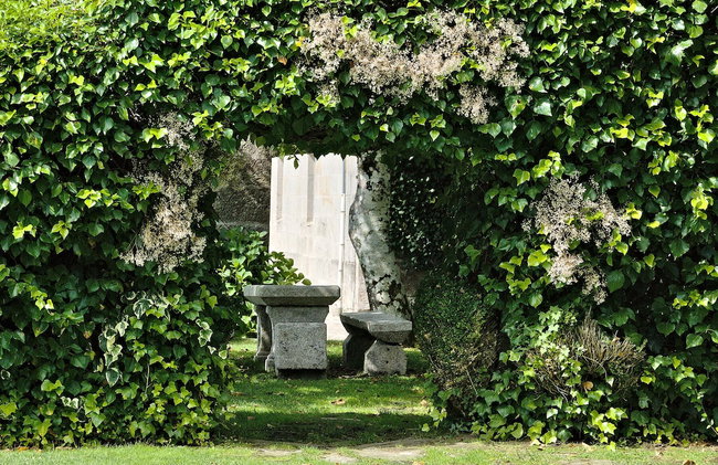 Pazo Almuzara - Foto 64