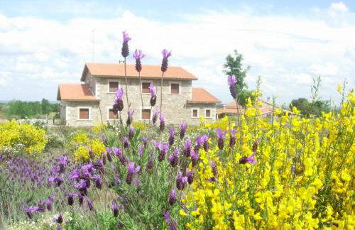 Casas Rurales Arribes Durii - Foto 11