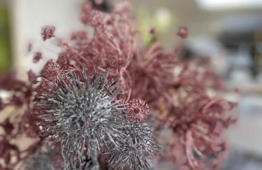 Komfortable Ferienwohnung 100qm mit Loggia in Schauenstein im Frankenwald-Fichtelgebirge - Foto 20