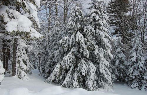 Sweet Life Brought to you by GetAway Vacations - Foto 45