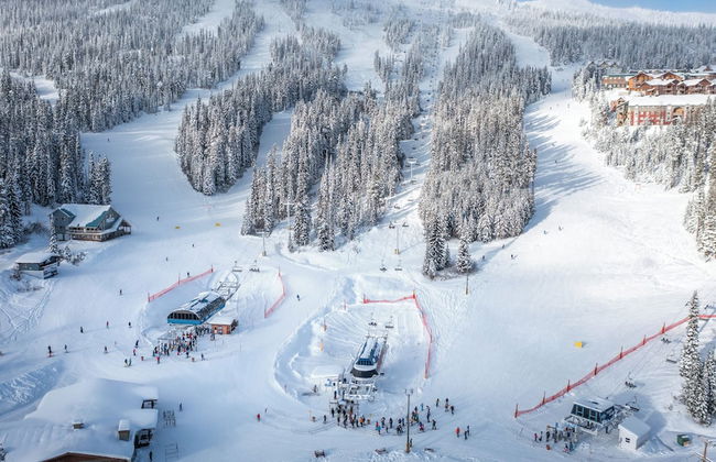 Vista at Big White Amazing Location View - Photo 45