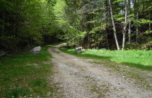 Appartement Col de la Faucille - Foto 24