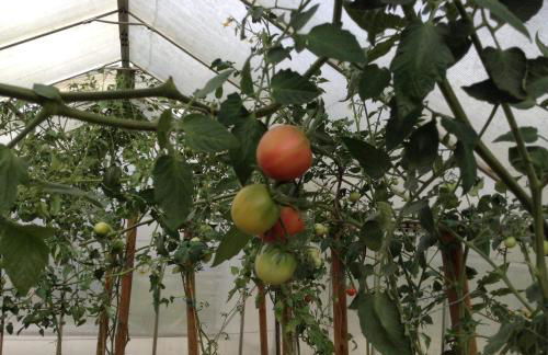 GITE CHOUCHOU - Photo 20