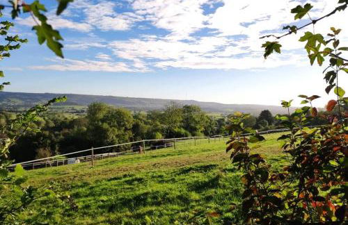 Hide on the Hill Cottage - Foto 12