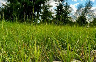 Black Deer - z Sauną na Tarasie, Jacuzzi i Widokiem na Góry - by Deer Hills Luxury Apartments - Foto 36