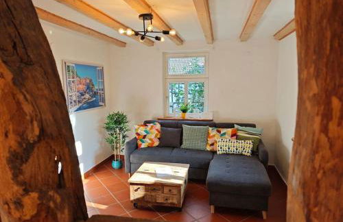 Kräutergarten Eifeloase Rurberg - Foto 4