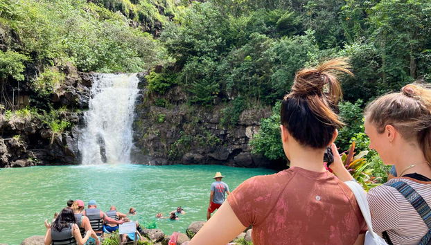 Immerse yourself in Hawaiian nature