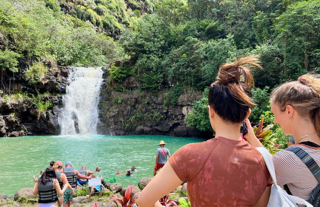 Randonnée à la cascade de Waimea - Photo 2