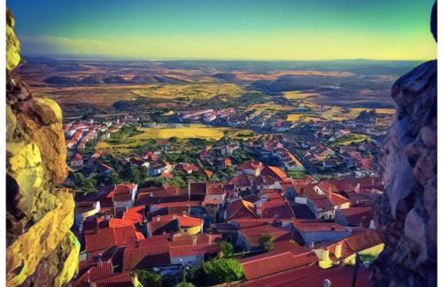 Casa Vinte & Cinco - Alojamento Local - Foto 91