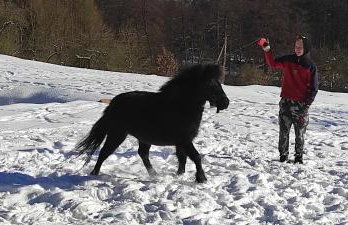 Gajówka Świt - Foto 14