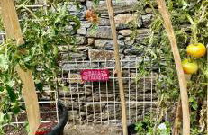 Maison familiale charmante - Foto 15