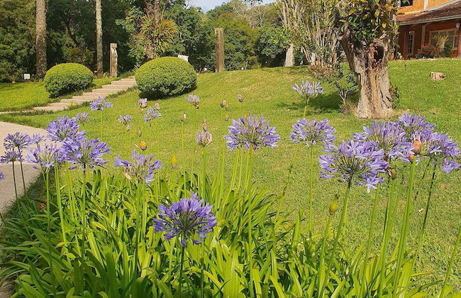 Villagio Matera - São Luiz do Purunã - Photo 58