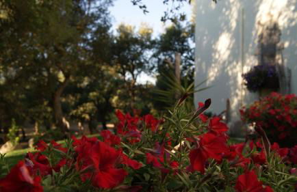 Agriturismo Le Sughere - Foto 45