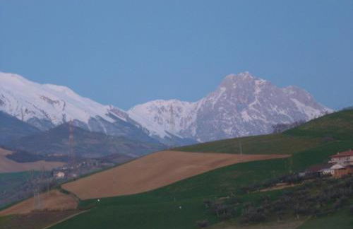 Agriturismo Cignale della Società Agricola Cignale srl - Photo 47