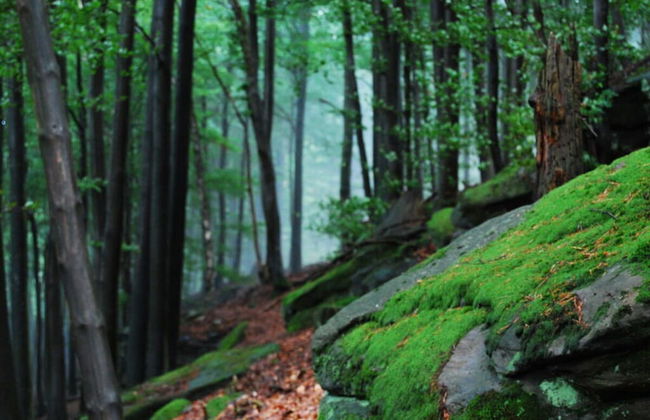 Holiday House on Bornfeld - Photo 34