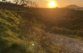 Case Vacanza Villa Bentivoglio - Foto 21