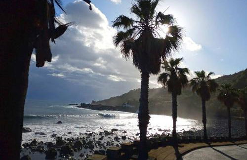 Lazy Lizard Studio - Foto 21