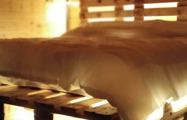 orchid huts - Photo 6