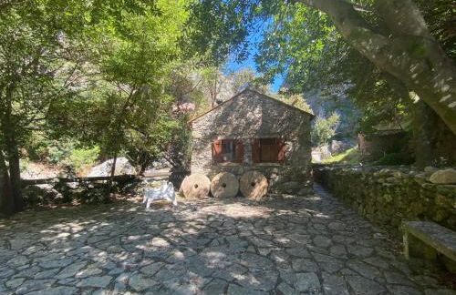 Moinho das fragas - Foto 18