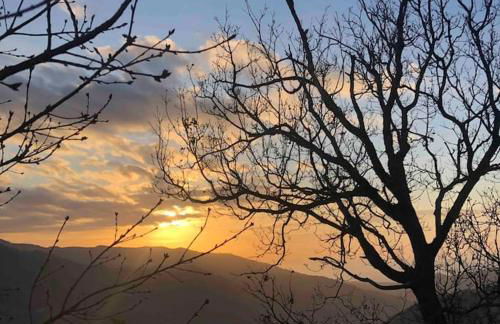 Atelier.Germana - Foto 13