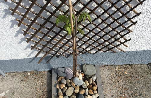 Sea Haze Charlestown - Foto 58